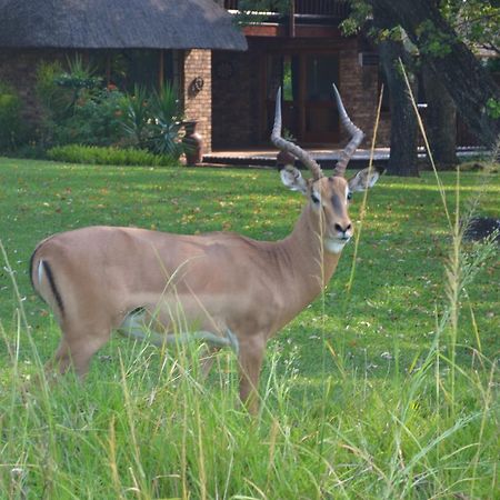 Kruger Park Lodge - Golf Safari Sa Hazyview Exteriér fotografie