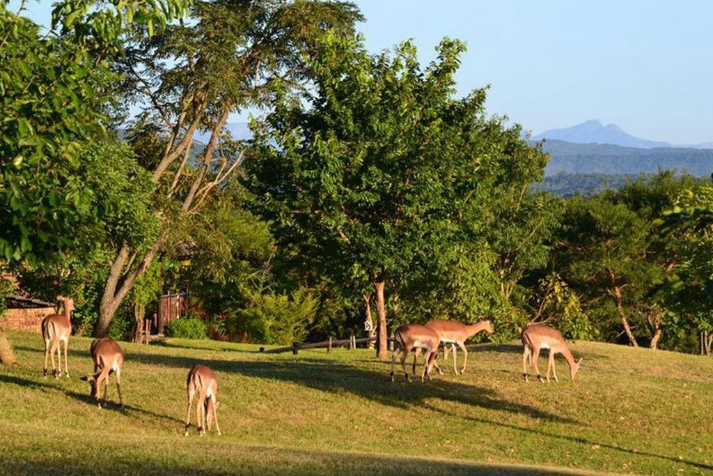 Kruger Park Lodge - Golf Safari Sa Hazyview Exteriér fotografie