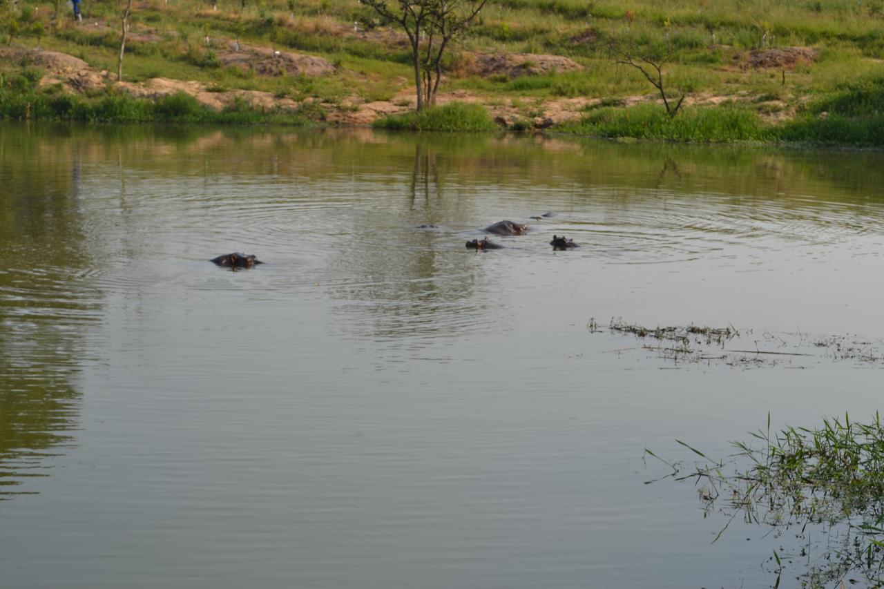 Kruger Park Lodge - Golf Safari Sa Hazyview Exteriér fotografie