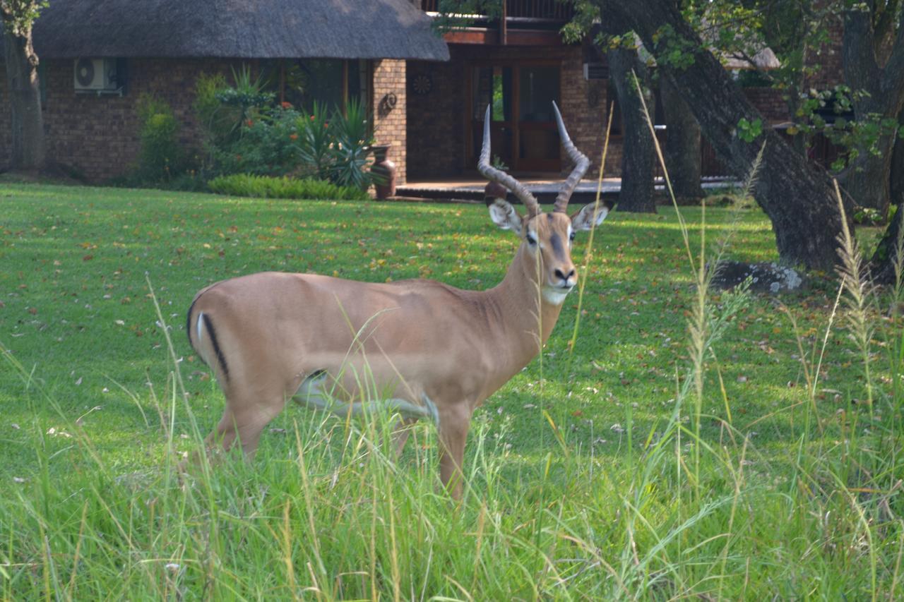 Kruger Park Lodge - Golf Safari Sa Hazyview Exteriér fotografie