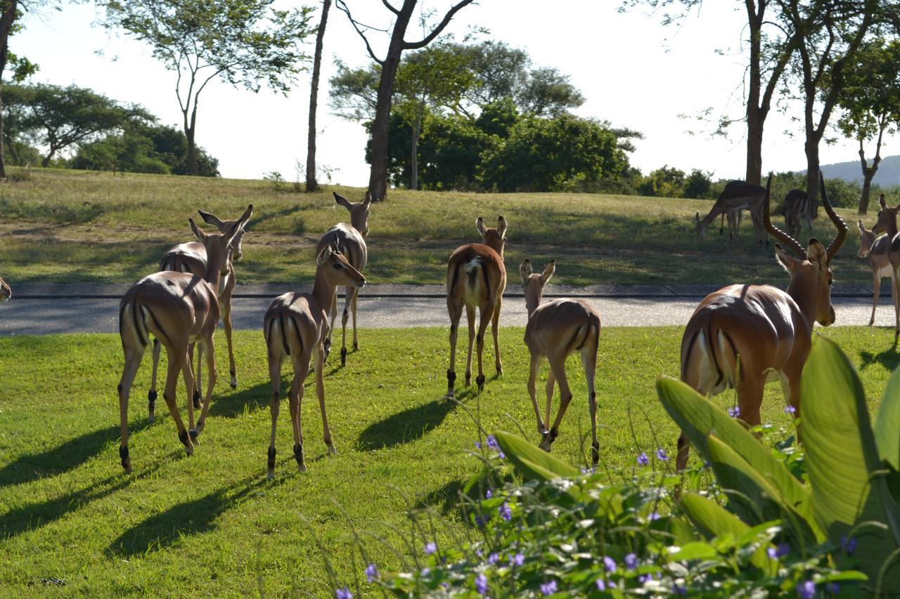 Kruger Park Lodge - Golf Safari Sa Hazyview Exteriér fotografie