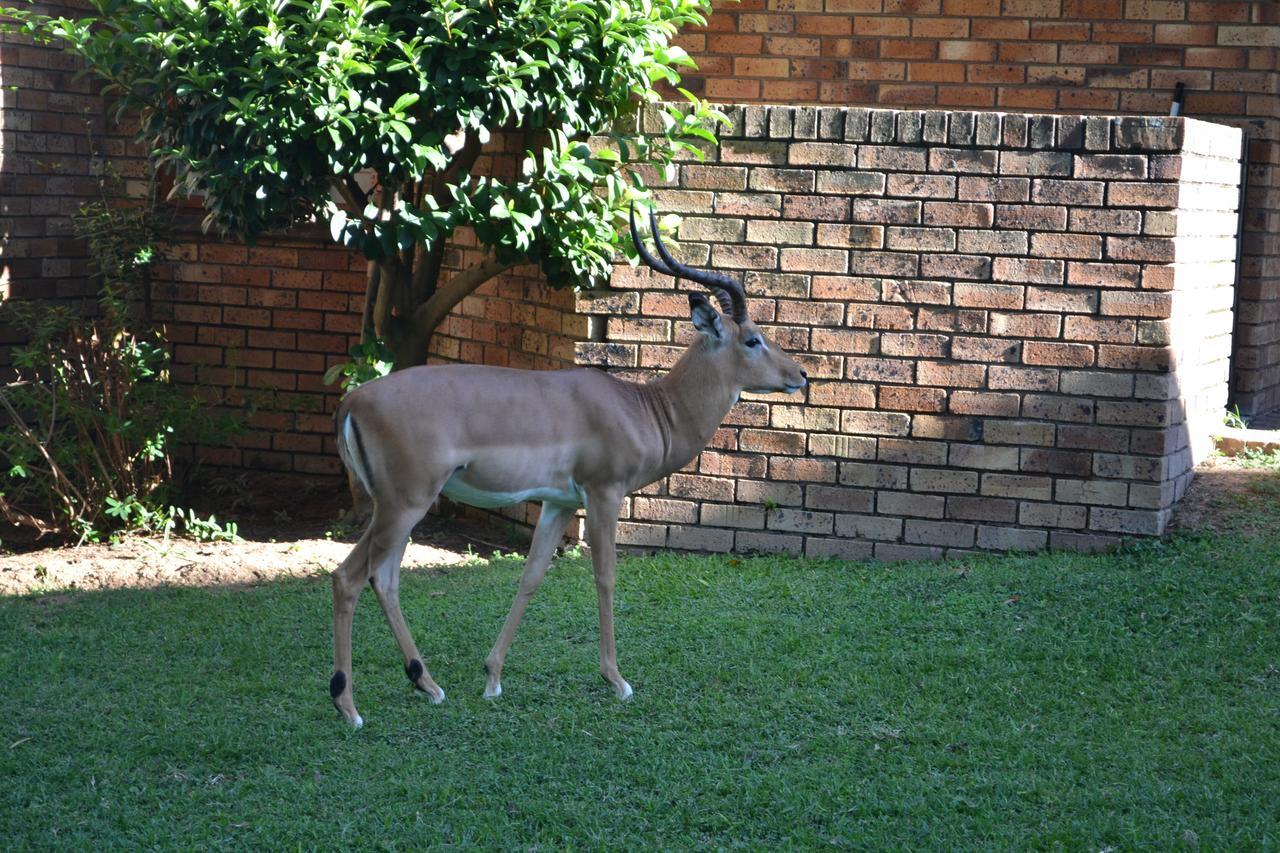 Kruger Park Lodge - Golf Safari Sa Hazyview Exteriér fotografie